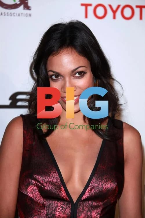 Rosario Dawson at 2010 Environmental Media Awards
