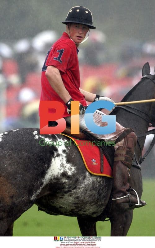 Prince Harry Wins Polo Match