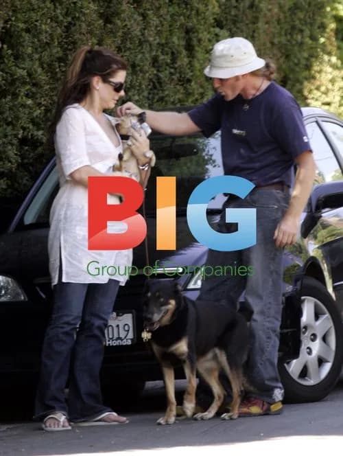 Sandra Bullock's missing 3-legged dog rescued