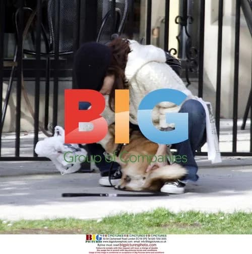 Selma Blair cares for her one-eyed dog Wink