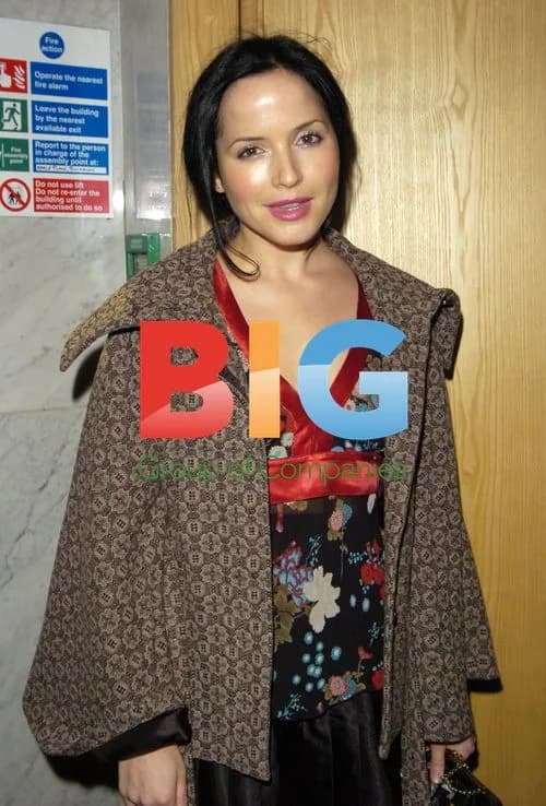 Andrea Corr attending studio launch party