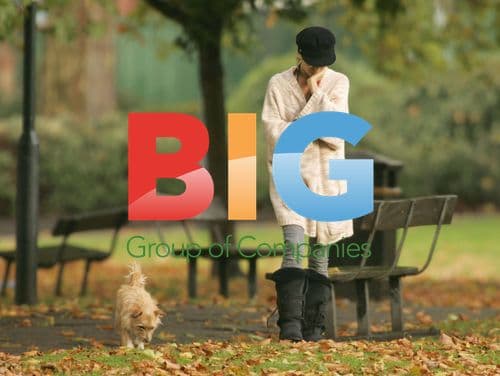 Sienna Miller walks dogs in London park