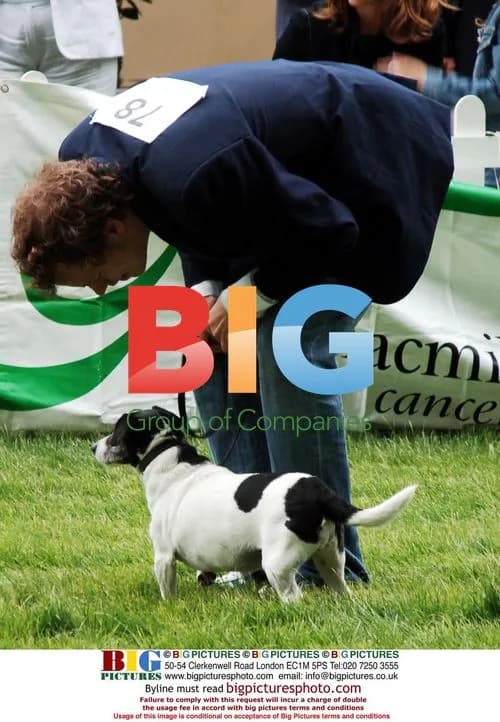Tom Parker Bowles at Macmillan Dog Day