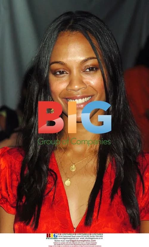 Zoe Saldana at 'Wedding Crashers' premiere