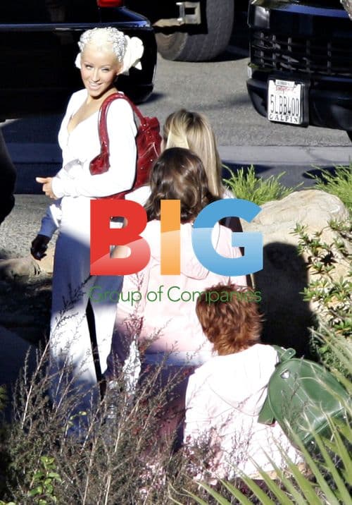 Christina Aguilera's Wedding in Napa Valley