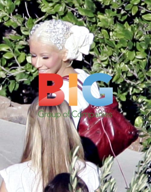 Christina Aguilera's Wedding