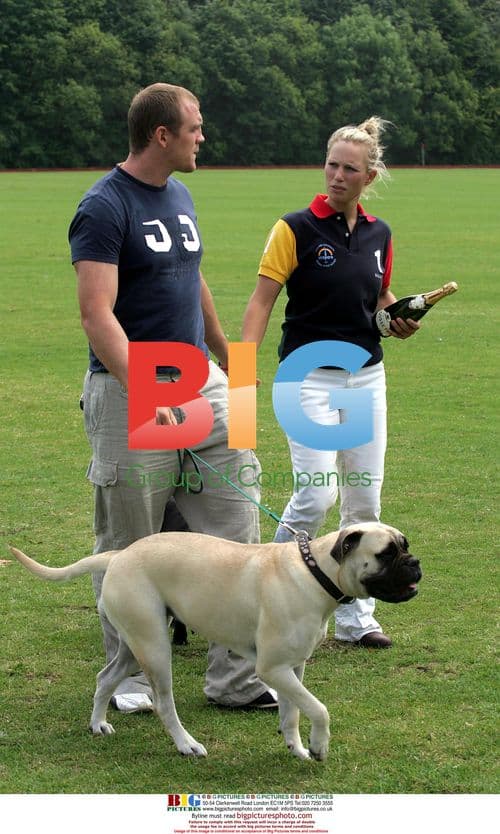 Princess Anne's daughter Zara Phillips and Mike Tindall at Rundle Cup Polo