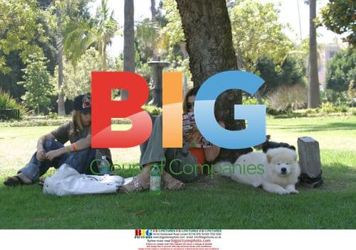 Zeta Graff relaxes with son and dogs in LA