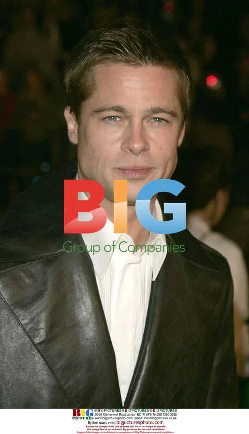 Brad Pitt at 'Ocean's Twelve' Premiere