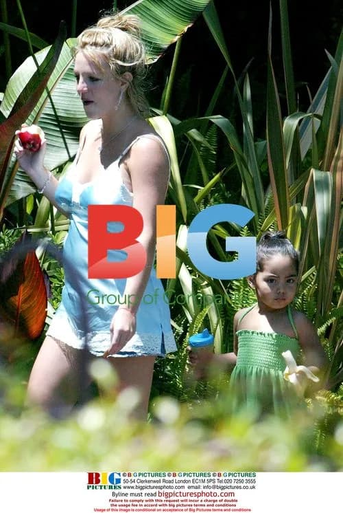 Pregnant Britney Spears Visits Recording Studio