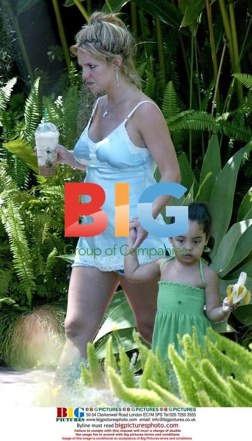 Pregnant Britney Spears with family