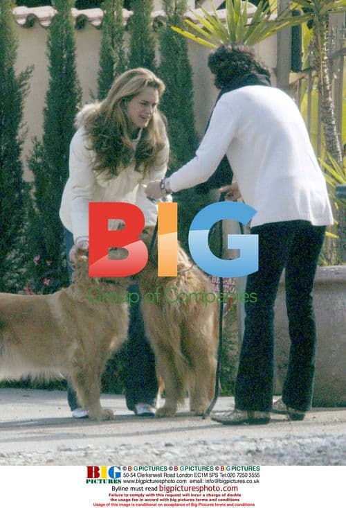 Brooke Shields Saves Two Golden Retrievers