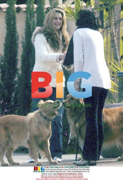 Brooke Shields Saves Two Dogs on Sunset Blvd