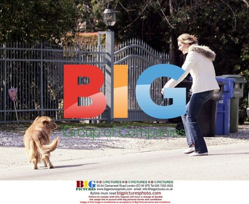 Brooke Shields Saves Two Golden Retrievers