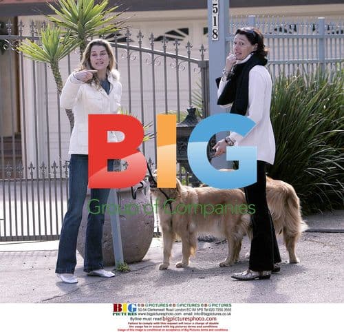 Brooke Shields Saves Two Golden Retrievers on Sunset Blvd