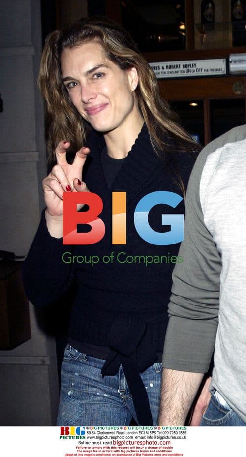 Brooke Shields Leaves Theatre After 'Chicago'