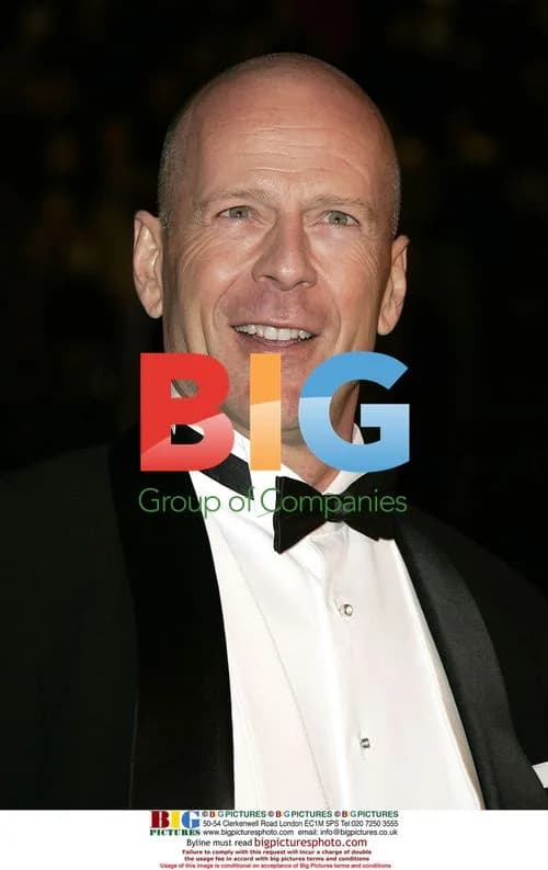 Bruce Willis at 'Ocean's Twelve' Premiere