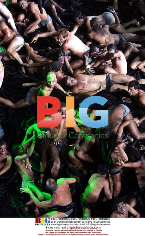 Parade of the WILTON JUNIOR in Rio Carnival