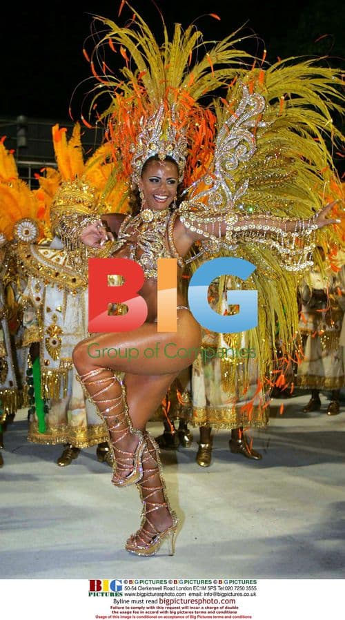 Viviane Araujo, Brazilian Actress at Samba Parade
