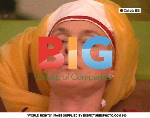 Celebrity Big Brother Court Task