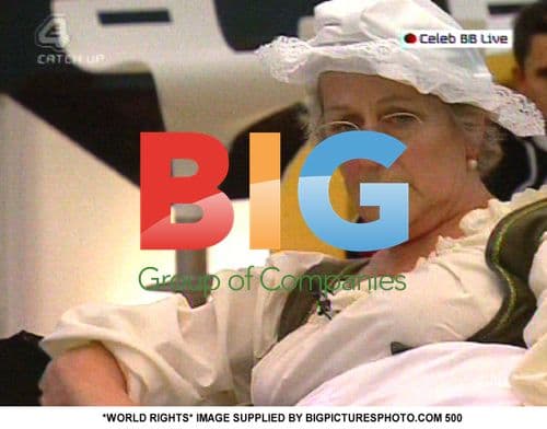 Celebrity Big Brother Court of Big Brother Task