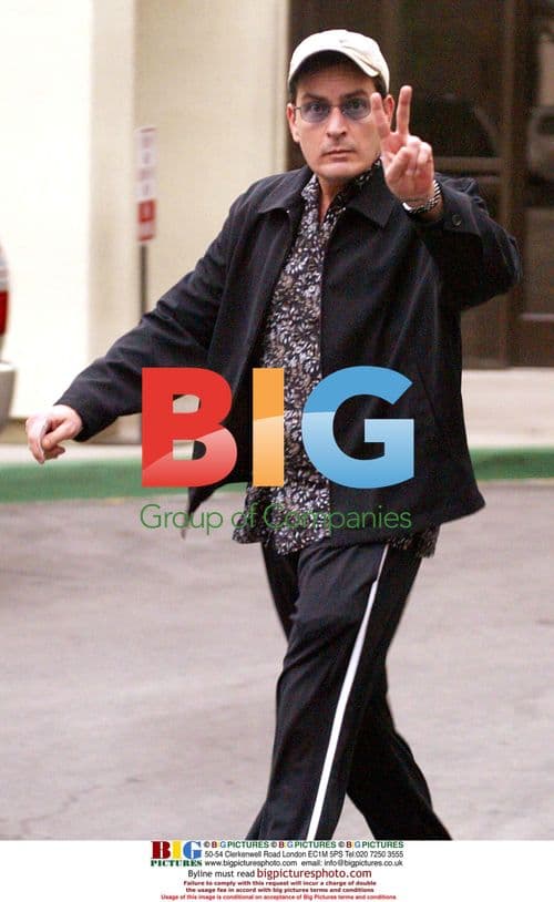 Charlie Sheen Visits Denise Richards After Birth