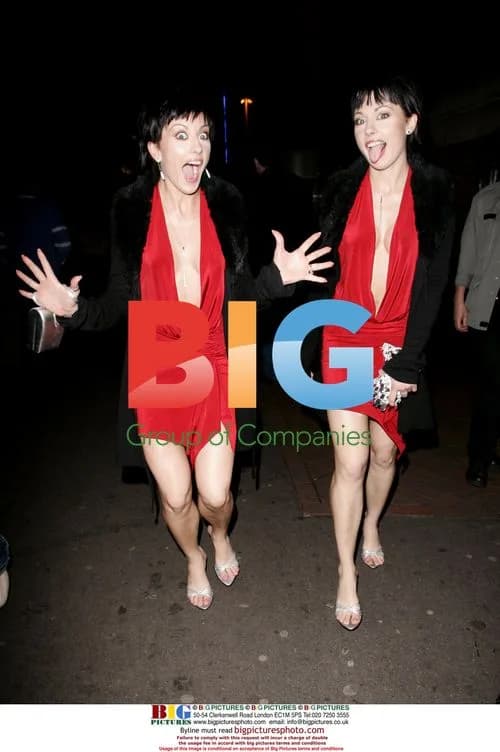 The Cheeky Girls at 'House of Wax' Premiere After Party
