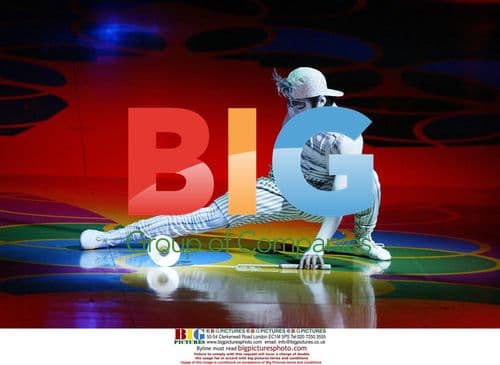 Cirque du Soleil Saltimbanco Show Unveiling