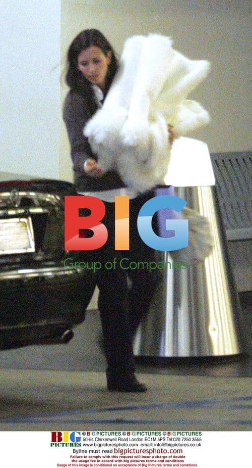 David Arquette Waits for Courtney Cox in Beverly Hills