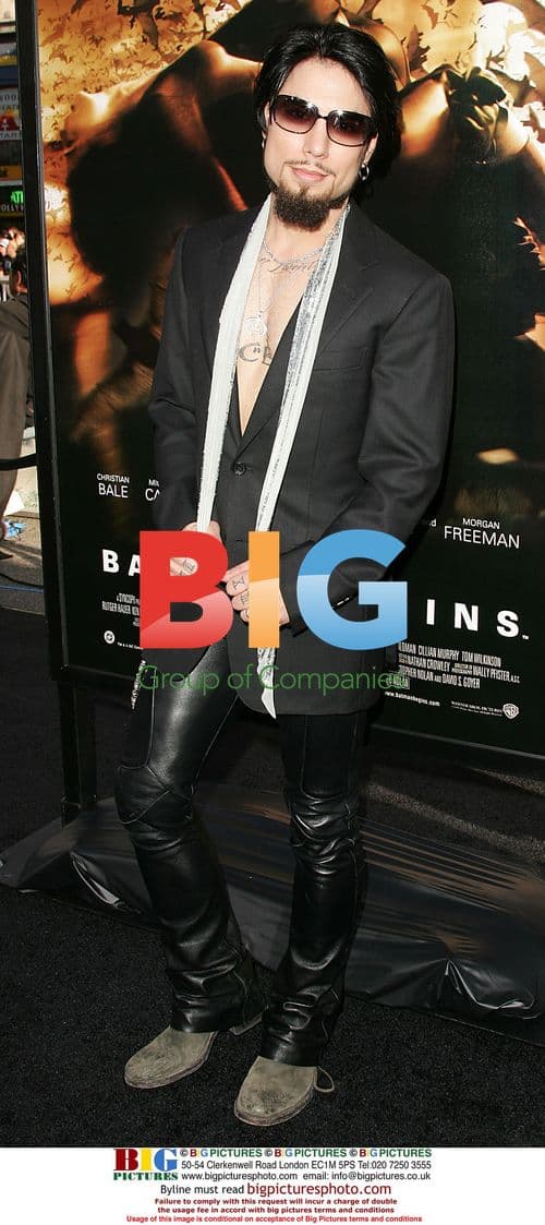 Brooke Burke's boyfriend Dave Navarro at Batman Begins Premiere