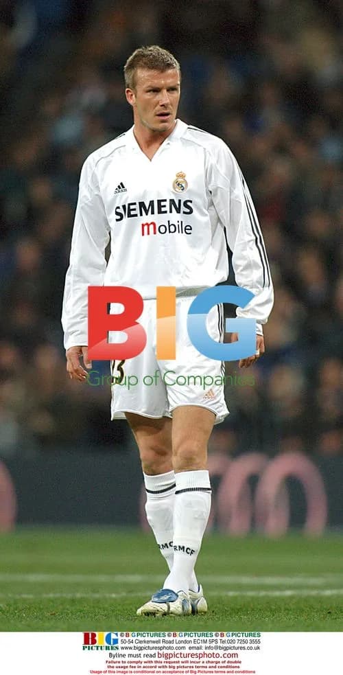 Real Madrid FC stars during match