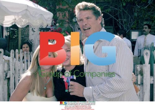 David Hasselhoff and Pamela Bach leave The Ivy