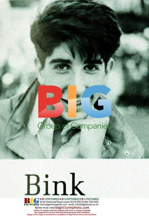 David Schwimmer High School Yearbook Photo