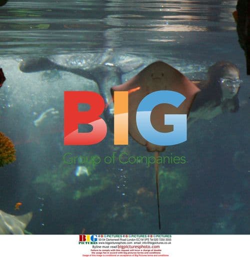 Debra Messing films 'Lucky You' mermaid scene