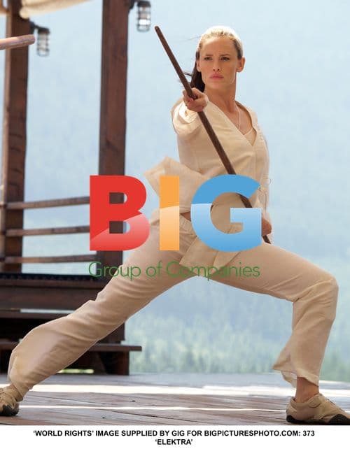 Jennifer Garner as Elektra