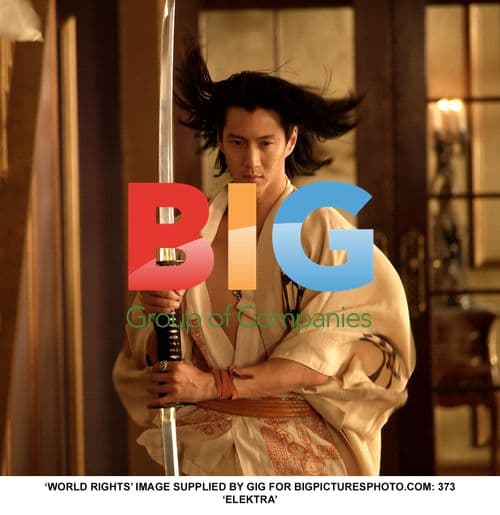 Jennifer Garner as Elektra