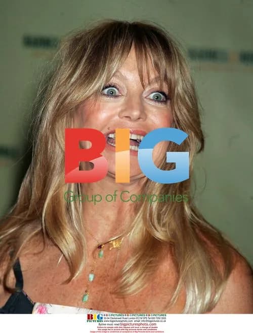 Goldie Hawn Promotes New Book