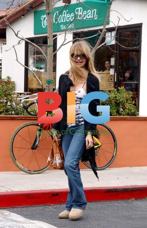 Goldie Hawn's Rare Shopping Trip