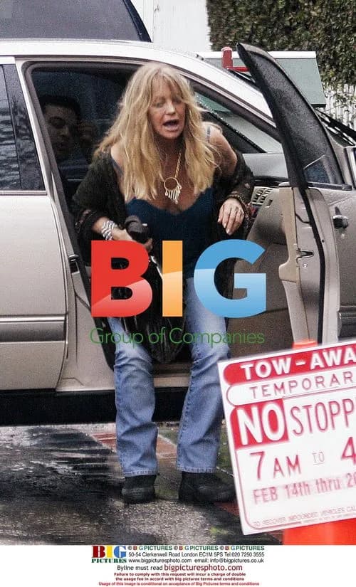 Goldie Hawn Steps Out Casually