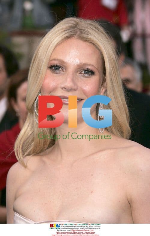 Gwyneth Paltrow at 77th Annual Academy Awards