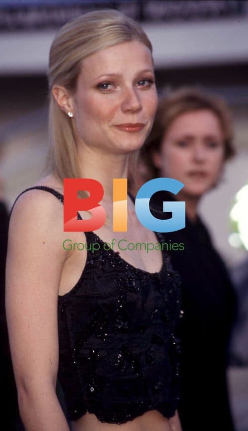Gwyneth Paltrow Portrait
