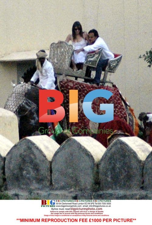 Liz Hurley and family on elephant
