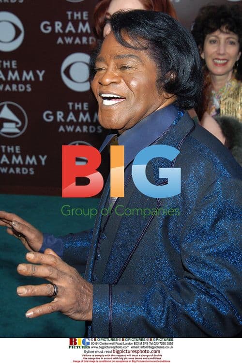 JAMES BROWN at 47th Grammy Awards 2005