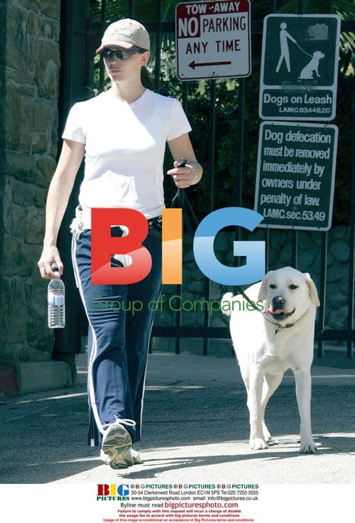 Jennifer Garner Hiking with Friend and Dog