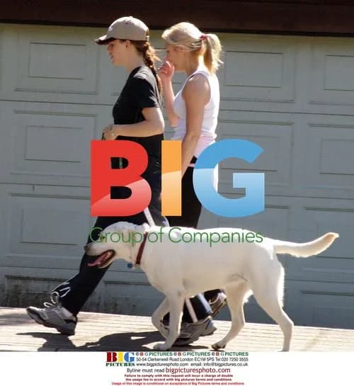 Pregnant Jennifer Garner with dog in Vancouver