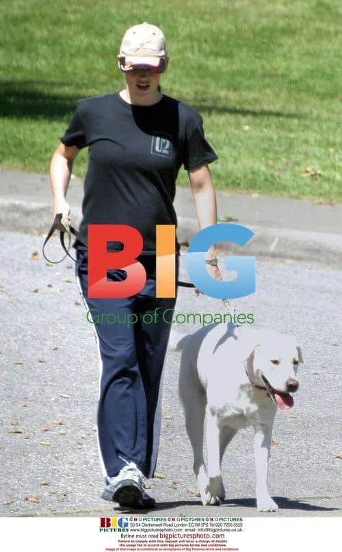 Pregnant Jennifer Garner Walks Dog