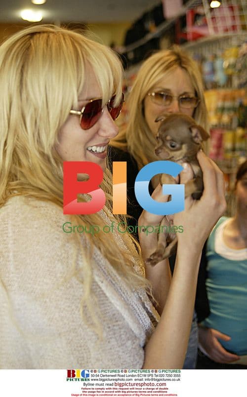 Kimberly and Sean Stewart with Alana Hamilton and dog