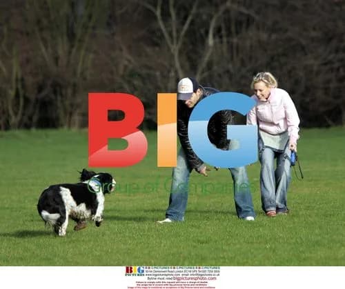BBC's 'Casualty' actress Leanne Wilson and fiance Keith Whallett walk dog