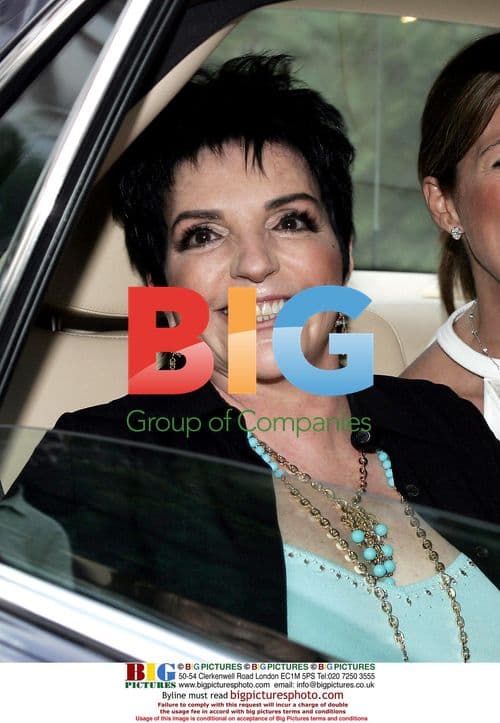 Lisa Minnelli Performs in Cannes