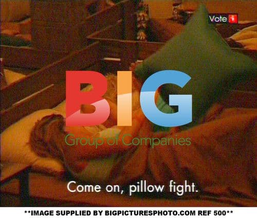 Celebrities on 'Celebrity Love Island'